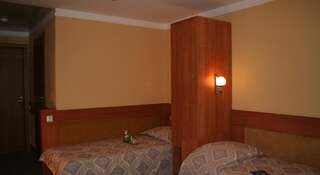 Гостиница Мотель Феникс Печерск Стандартный двухместный номер с 2 отдельными кроватями-7